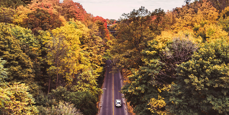 Colourful Roads in Canada in the Fall