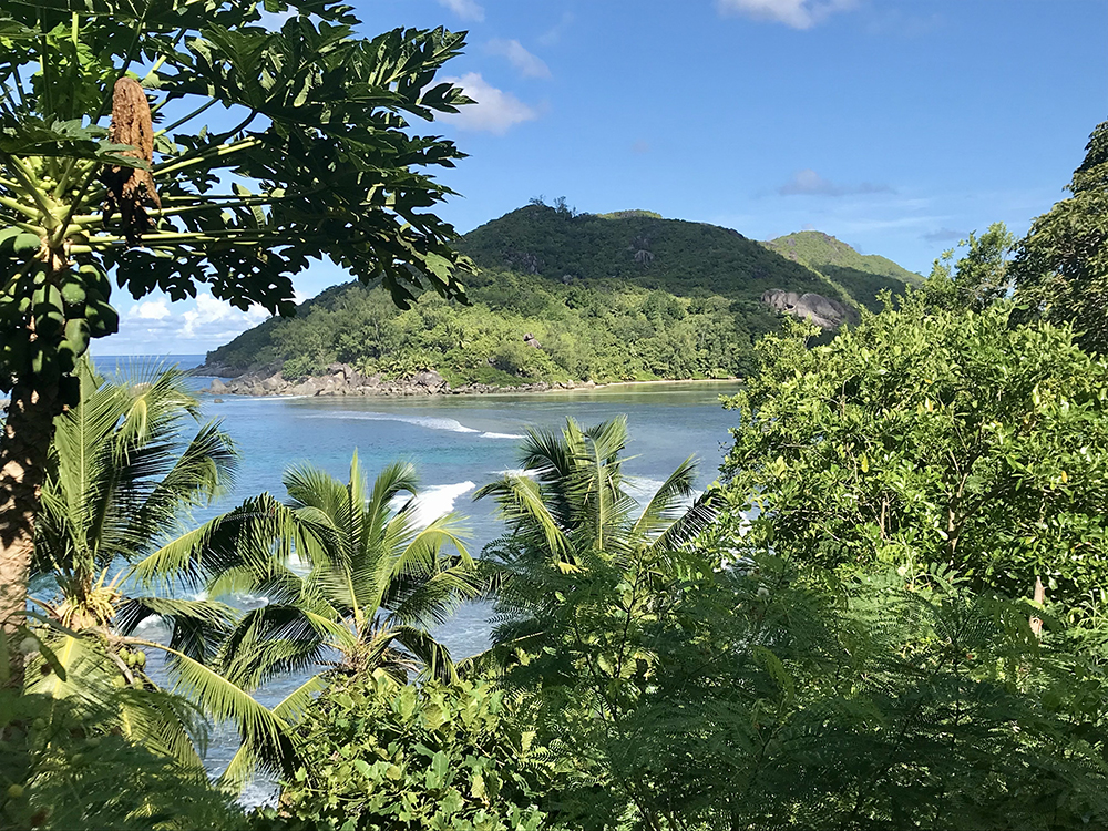 Seychelles - Mahé - port Launey