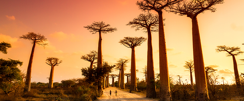 Madagascar’s Tourism Outlook: Strong Momentum and New Opportunities