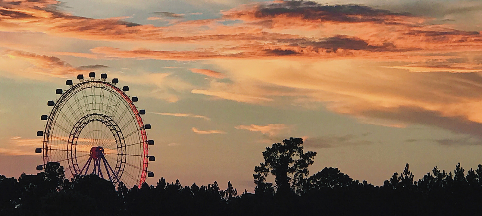 When Music Moves Markets: What Coachella Reveals About Travel Demand 🎶✈️