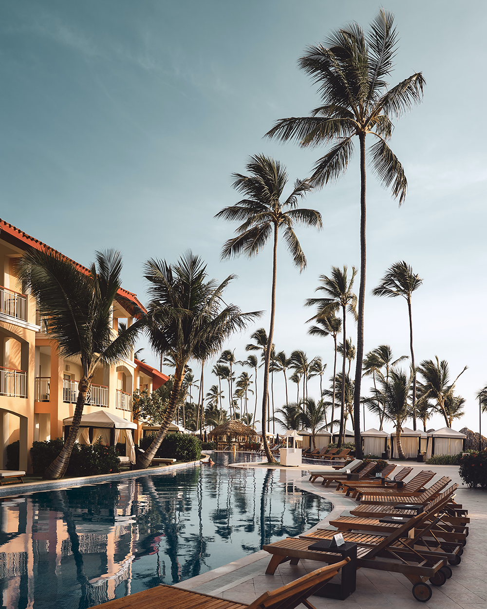 Hotel pool palm trees