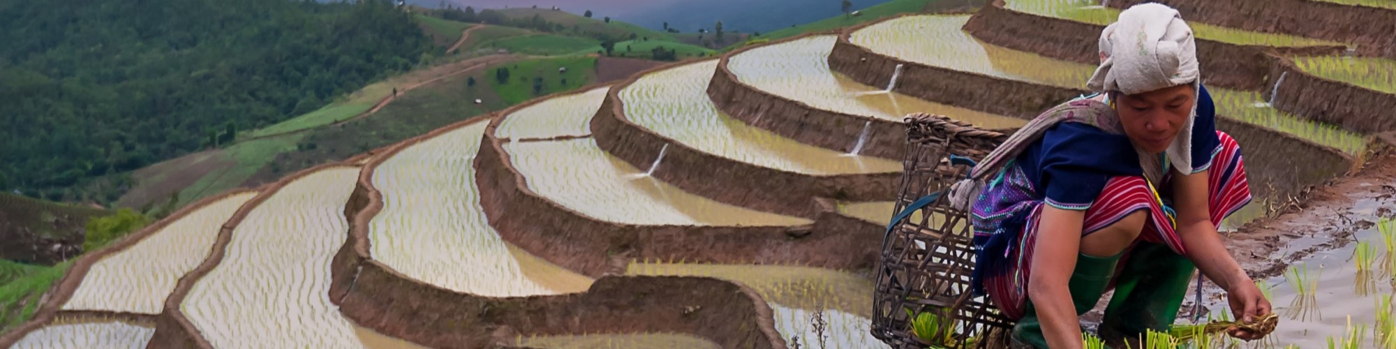 Amadeus and UN Tourism data shows steady travel demand across North America over the past year